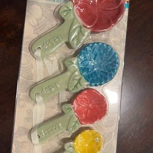 Pioneer Woman 4 Piece Stoneware Measuring Spoon Set